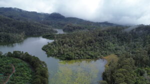 dcim100mediadji 0679.jpg