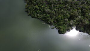 dcim100mediadji 0686.jpg