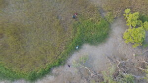 dcim101mediadji 0038.jpg