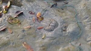 dcim101mediadji 0054.jpg