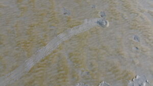 dcim101mediadji 0061.jpg