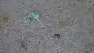 dcim101mediadji 0076.jpg