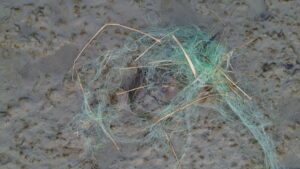 dcim101mediadji 0077.jpg